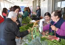 Favorecer el consumo de hortalizas regionales y productos saludables fue el mensaje de entidades públicas en el Día de la Alimentación