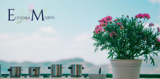 La decoración floral sustentable llega a Chile