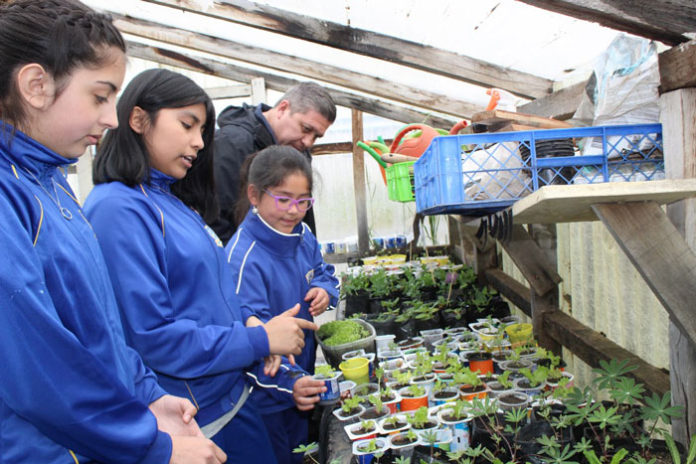 escuela-villa-las-nieves-promotores-salud