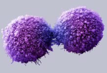 Medicina de Precisión: El mejor aliado para el tratamiento contra el Cáncer
