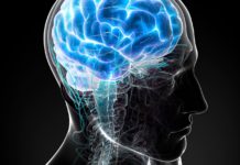 “Tiempo es cerebro”: 5 señales para reconocer un accidente cerebrovascular ACV