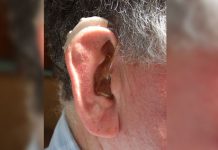 fonoaudiologia