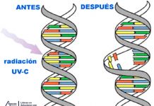 Desinfección sin residuos químicos