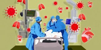 Coronavirus | De enfermedad respiratoria a multisistémica