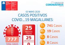 COVID-19 de Magallanes