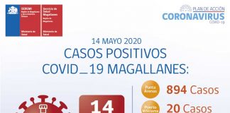 reporte covid 19