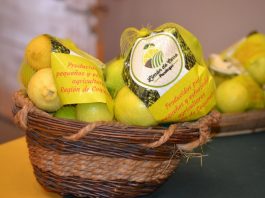 El limón y sus características saludables