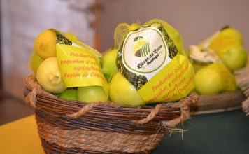 El limón y sus características saludables