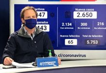 Autoridades de Salud anuncian implementación de cordones sanitarios para Lota y Coronel