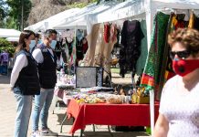 Desde el 1 de enero de 2021 las licencias médicas deberán emitirse obligatoriamente de forma electrónica