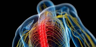 Superar la Escala de Autoinforme: medición objetiva del dolor crónico con IA