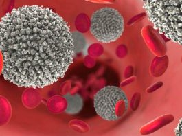 DÍA MUNDIAL DEL CÁNCER DE LA SANGRE: LA IMPORTANCIA DE VISIBILIZAR LA PATOLOGÍA EN TIEMPOS DE PANDEMIA DÍA MUNDIAL DEL CÁNCER DE LA SANGRE: LA IMPORTANCIA DE VISIBILIZAR LA PATOLOGÍA EN TIEMPOS DE PANDEMIA