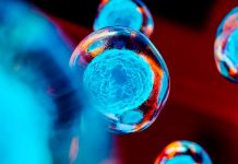 La Inteligencia Artificial puede ayudarnos a acelerar los descubrimientos sobre linajes celulares La Inteligencia Artificial puede ayudarnos a acelerar los descubrimientos sobre linajes celulares