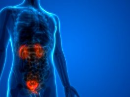 Nuevo hito en el tratamiento del cáncer de vejiga Nuevo hito en el tratamiento del cáncer de vejiga