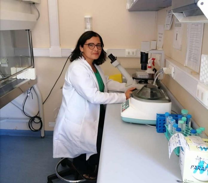 Científica chilena busca nuevas terapias para retrasar signos de la miopatía centronuclear Científica chilena busca nuevas terapias para retrasar signos de la miopatía centronuclear