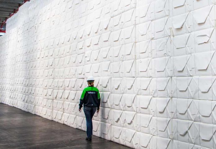 El cambio en el perfil de los consumidores impulsa el aumento de la producción de celulosa en Sudamérica El cambio en el perfil de los consumidores impulsa el aumento de la producción de celulosa en Sudamérica