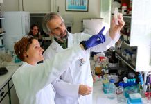 Investigadores chilenos se adjudican en EE.UU patente de fármaco con propiedades antibióticas a partir del erizo negro de mar