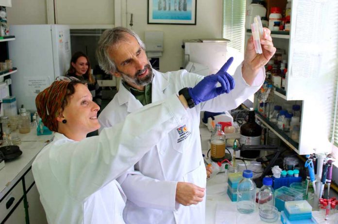 Investigadores chilenos se adjudican en EE.UU patente de fármaco con propiedades antibióticas a partir del erizo negro de mar Investigadores chilenos se adjudican en EE.UU patente de fármaco con propiedades antibióticas a partir del erizo negro de mar