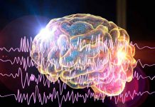 Estudio muestra factibilidad de predecir convulsiones con dispositivos de pulsera en personas que sufren de epilepsia