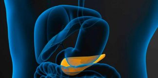 Identificar mutaciones genéticas hereditarias en cáncer de páncreas puede conducir a terapias dirigidas y mejorar la supervivencia Identificar mutaciones genéticas hereditarias en cáncer de páncreas puede conducir a terapias dirigidas y mejorar la supervivencia