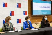 Primer Informe de Muerte Prematura y Años de Vida Potencial Perdidos por Cáncer Primer Informe de Muerte Prematura y Años de Vida Potencial Perdidos por Cáncer