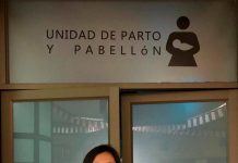 Un 43,7 % de las regiones de Chile presentan una prevalencia de obesidad para mujeres en edad fértil que supera el promedio nacional