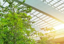 El Club Deportivo Universidad Católica refuerza la protección sanitaria de las instalaciones del Club House a través de los sistemas de purificación y sanitización de Airlife sistemas de purificación y sanitización de Airlife