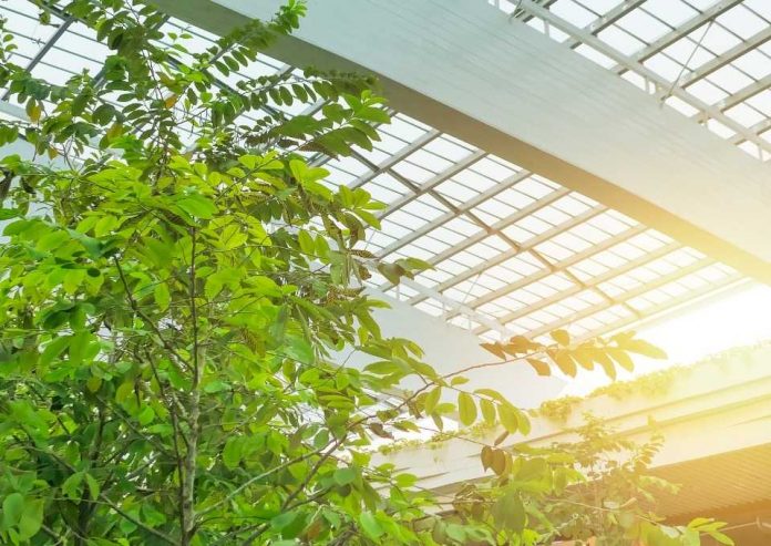 sistemas de purificación y sanitización de Airlife sistemas de purificación y sanitización de Airlife