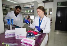 Chilenos crean innovador test de orina para detectar infecciones de transmisión sexual Chilenos crean innovador test de orina para detectar infecciones de transmisión sexual