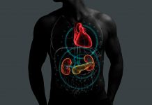 En marzo se conmemora el día mundial del Riñón: El estrecho vínculo entre la Enfermedad Renal Crónica y otras patologías En marzo se conmemora el día mundial del Riñón: El estrecho vínculo entre la Enfermedad Renal Crónica y otras patologías