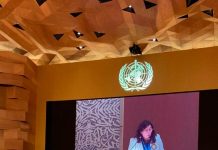 Ministra Yarza expone proceso chileno de reforma a la salud ante Asamblea de la OMS Ministra Yarza Asamblea de la OMS