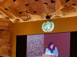 Ministra Yarza expone proceso chileno de reforma a la salud ante Asamblea de la OMS Ministra Yarza Asamblea de la OMS