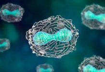 Investigación de casos emergentes de viruela del mono