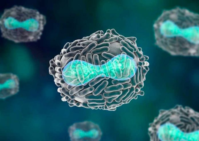 Investigación de casos emergentes de viruela del mono Investigación de casos emergentes de viruela del mono