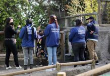 Subsecretario de Salud Pública llama a preferir actividades al aire libre y seguir vacunándose en vacaciones de invierno cuadrillas sanitarias minsal