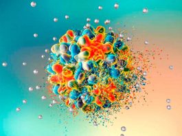 Día Mundial de la Hepatitis: Representantes de Chile y América Latina conversan sobre erradicar las Hepatitis Virales para el 2030 Erradicación de hepatitis 2030