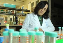 terapias contra Alzheimer