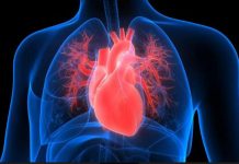 Experto de Mayo Clinic Healthcare comparte señales de insuficiencia cardíaca y factores de riesgo no muy conocidos sintomas Insuficiencia cardiaca