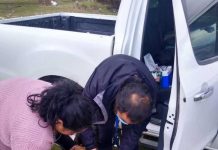 Día Mundial contra la Rabia