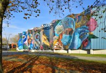 Organon invita a las mujeres a empoderarse de su autocuidado y a decirse “Me doy Like” en el Día Internacional de la Anticoncepción Día Internacional de la Anticoncepción