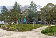 Proyecto residencial busca aportar al ecosistema con innovador proyecto de paisajismo sustentable