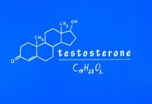 testosterona masculina