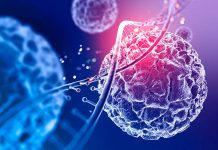 La vacuna inhalable de CanSinoBIO para el COVID-19 recibió aprobación en China vacuna inhalable de CanSinoBIO para el COVID-19