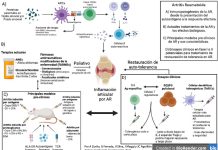 Exploran origen de artritis reumatoide: incapacita a 34 millones de personas en Latinoamérica Artritis Reumatoide