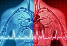 Exámenes de detección guiados por inteligencia artificial usan datos de electrocardiogramas para detectar factores de riesgo ocultos de accidente cerebrovascular