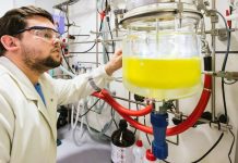 Innovadora plataforma permite identificar los riesgos de padecer diabetes