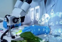 Investigadores estudian la nutrición de precisión para mejorar la salud y prevenir enfermedades
