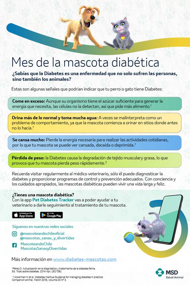 Mes de la Mascota Diabética