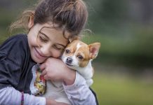 CÓMO CUIDAR A NUESTRAS MASCOTAS
