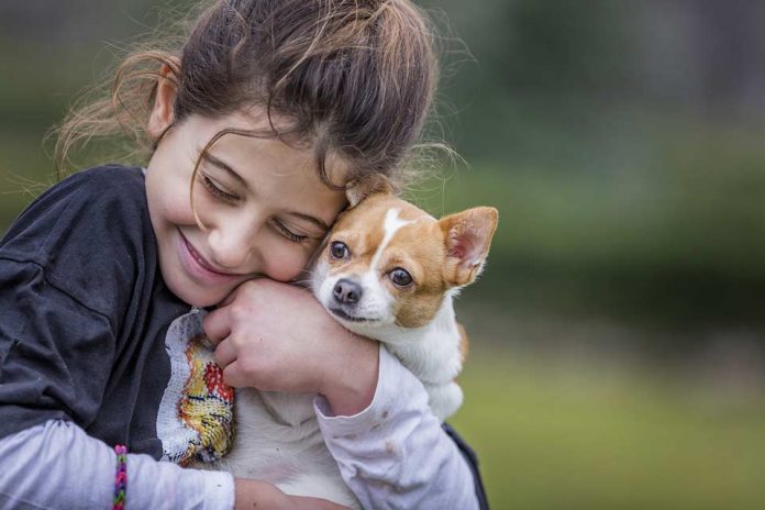 CÓMO CUIDAR A NUESTRAS MASCOTAS